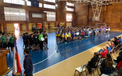 Liga nacional de balonmano LINABAL